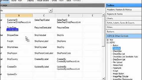 Add Custom ASP.NET Tags to Pages - Iron Speed Designer V9.0
