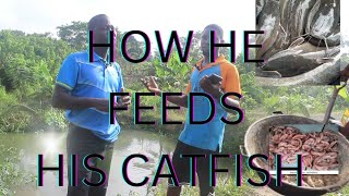 How he sorted for local fish feed for his catfish and maximized his profit