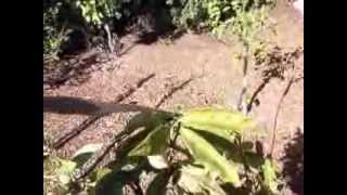 Citrus Health on Advanced Scale Problem screenshot 5