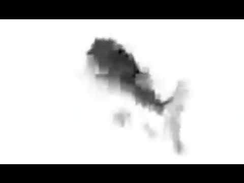 Карась рапапа. Рыба крутится 10 часов под туту ту. Рыба крутится 10 часов под туту ту. Гифка лосось крутится. Рыба крутится мем гиф.