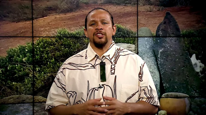 Hawaiian Word of the Day - Pohaku