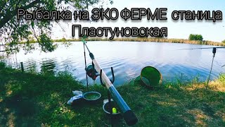 Рыбалка в станице Пластуновская на ЭКО ФЕРМЕ супер отдых.