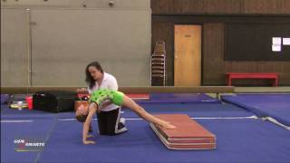 Safe Bridging - Beth Gardner Profile