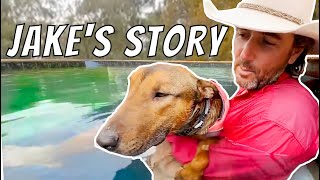 Dog Been in Shelter Long Time Finally Gets Adopted | Jake's Story