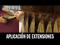 Aplicación de extensiones | Ana Mireles