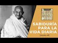 CÓMO CUIDAR TU FUTURO | Sabiduría para la vida diaria | Episodio #8