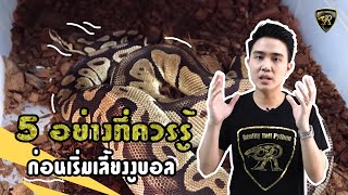 5 อย่างที่ควรรู้ก่อนเริ่มเลี้ยงงูบอล Reality Ball Python [EP.39]