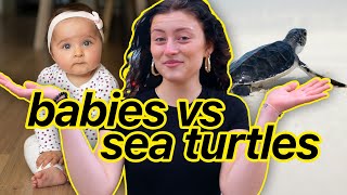 Will You Protect The Baby Turtles?