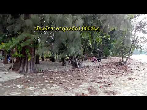 หาดคลองพร้าว หลินบังกะโล เกาะช้าง 8มีค.64