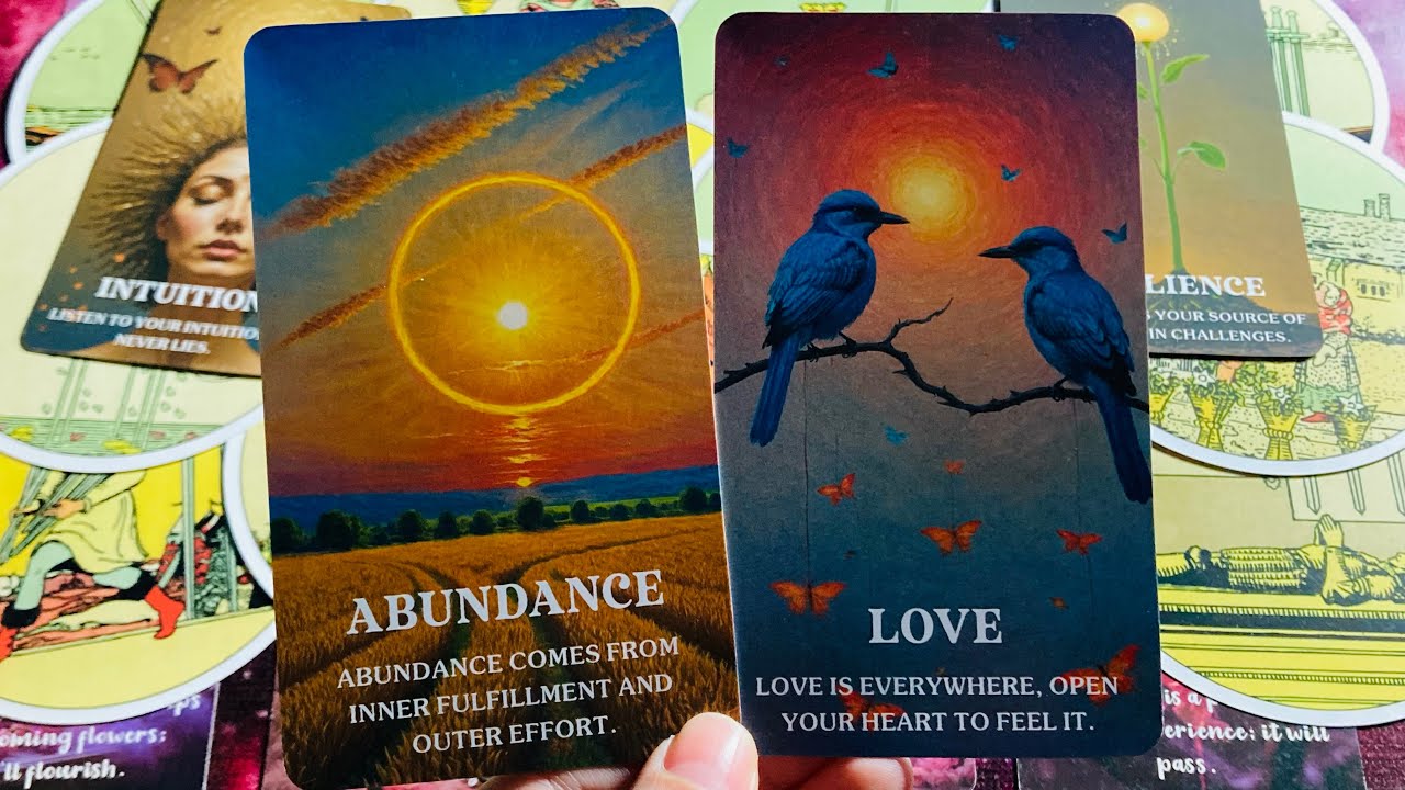 Their Feelings Thoughts & Next Action ❣️✨ Timeless Tarot 💫 Hindi-Urdu 💫