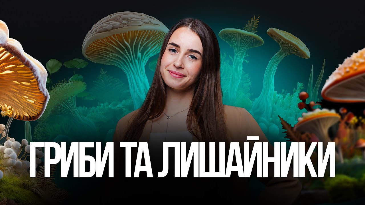🩵 Усе про гриби та лишайники на НМТ з біології | TURBO ZNO | Підготовка до НМТ