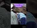 Edakkal Caves Wayanad