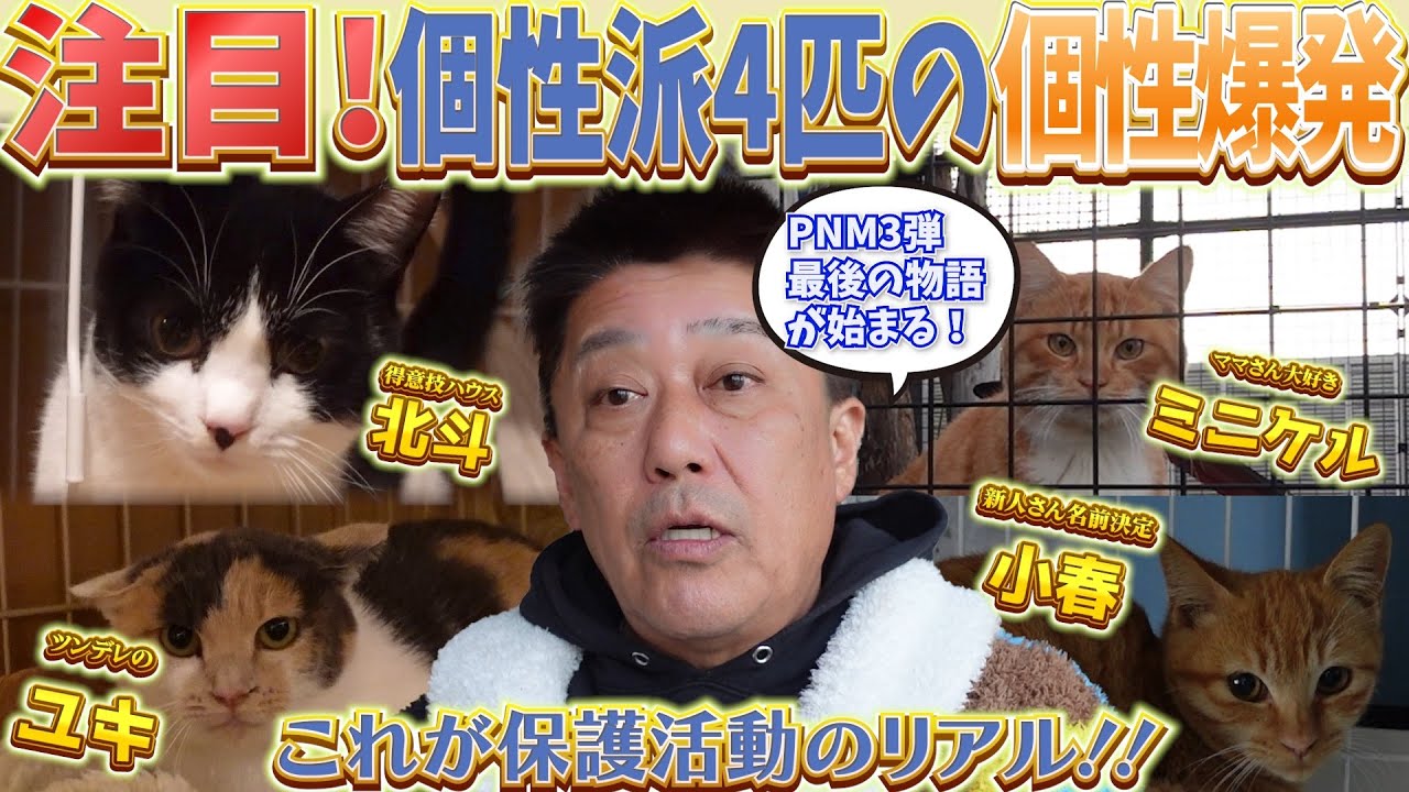 この子たちに注目!トレーラーハウスに残る個性派4匹の魅力