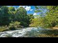 Quiet River ASMR 🌊 Pure Natural Water Sounds – No Rain No Music for Sleep &amp; Focus