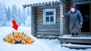 видео: Замерзающие лисята искали спасения! Поступок бабушки тронул до слёз! Рассказы о животных картинка: Замерзающие лисята искали спасения! Поступок бабушки тронул до слёз! Рассказы о животных