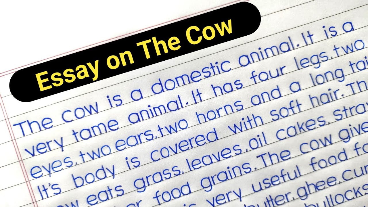 the cow essay class 3