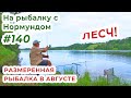 ЛЕЩ! Размеренная ловля на фидер / На рыбалку с Нормундом #140