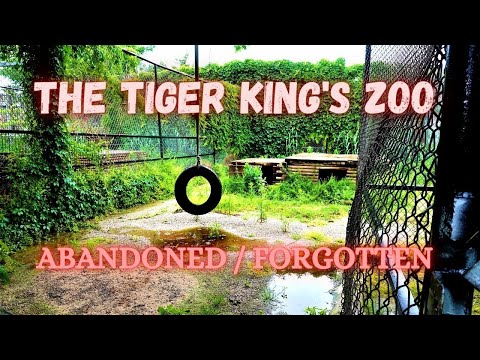 Video: Proč je gw zoo stále otevřená?