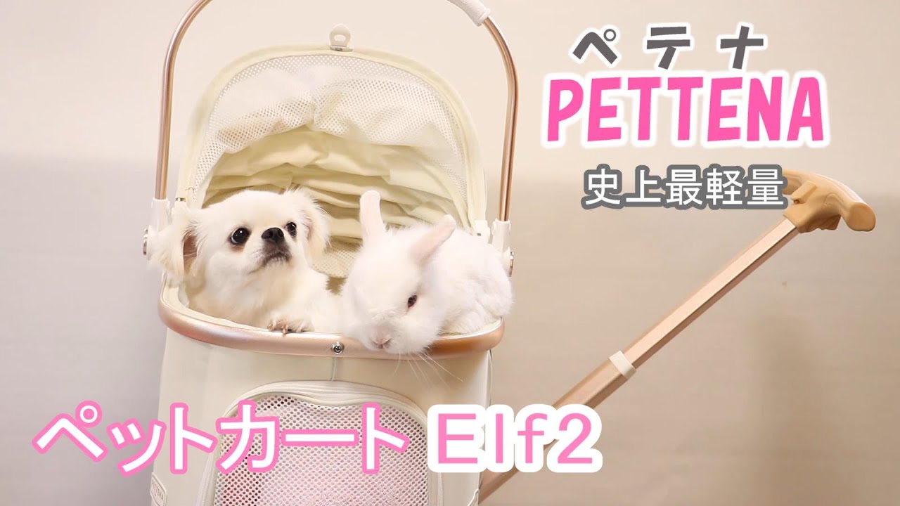 PETTENA] New Pet Cart Elf2 