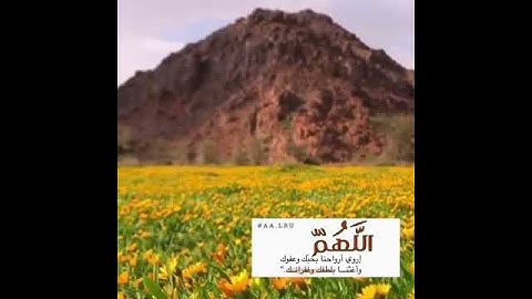 حالات واتساب قران كريم 2020