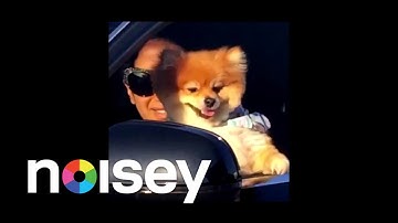 Jim-E Stack "Deadstream" (Official Music Video)