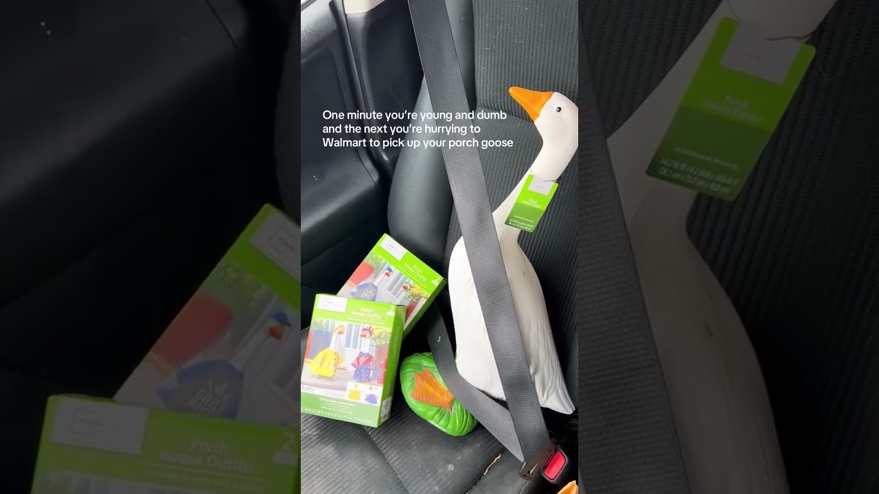 silly goose final boss 🎥: kaylacapponi_207 on TikTok