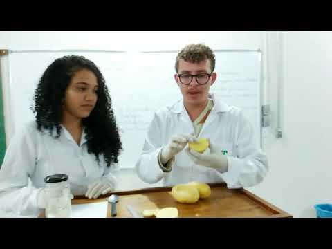 Vídeo: Composição Química Completa Das Batatas