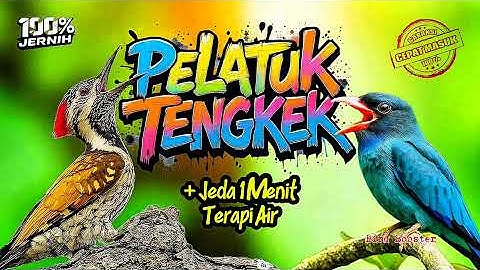MASTERAN SATU JALUR + JEDA TERAPI AIR KOMBINASI PELATUK BAWANG X TENGKEK BUTO!