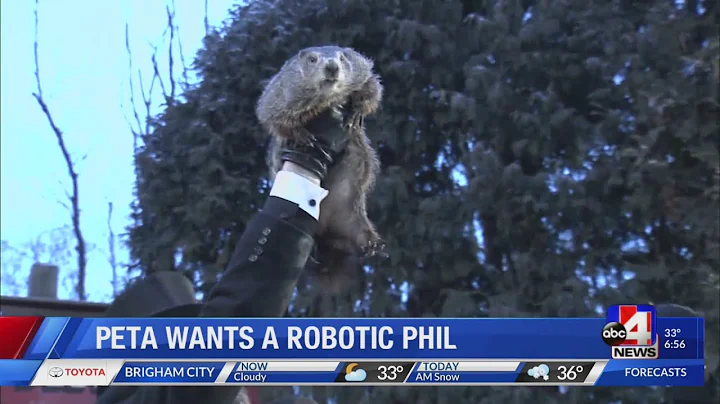 Robot Groundhog GMU