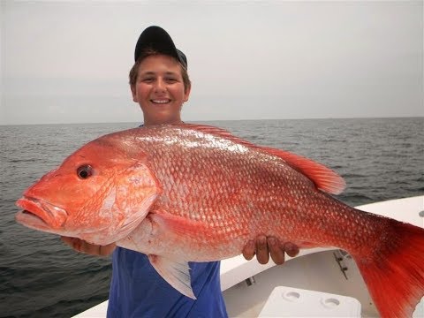 Deep Sea Fishing Big Fish Fishing for Red Snapper (Georgia) -
