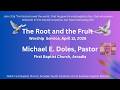 The Root and the Fruit. Don't be just a bunch of pretty leaves!!! We are commanded to bear fruit!