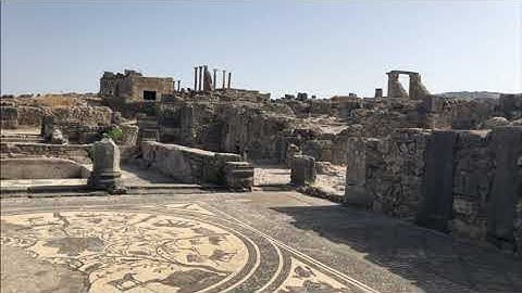 Exploring Ancient Roman Mosaics, Volubilis, Morocco from Nikolas A. 🇲🇦