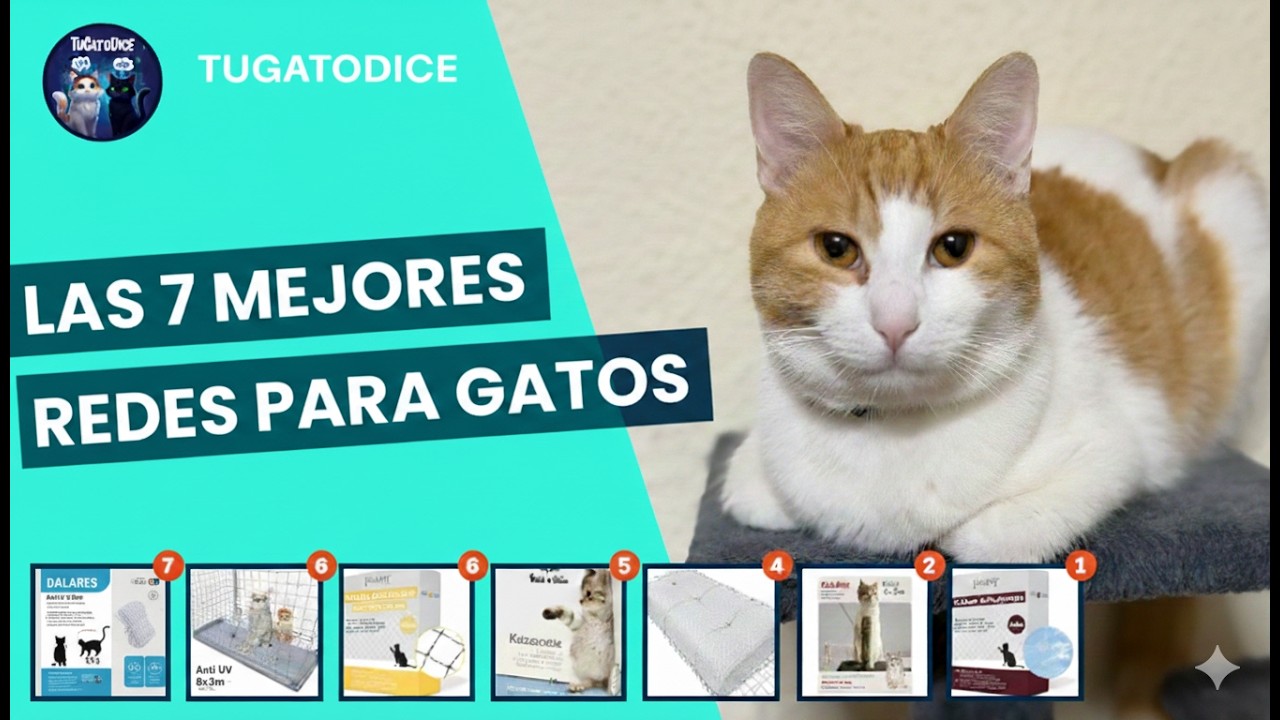 Las 7 MEJORES Redes de Protección para Gatos de Amazon 🐱🛡️