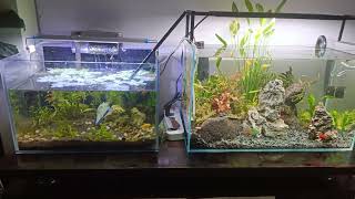 Difference between ADA 60p and ultra clear glass fish tank