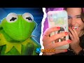 Kermit finds a girlfriend on Omegle