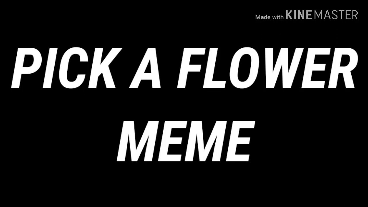 Pick a flower meme/ Trash is me YouTube