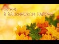 Осень в Вашкинском районе