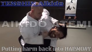 AIKIDO ATEMI - #puttingharmbackintoharmony