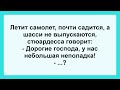 Анекдоты смешные до слёз! Отличная Подборка Жизненных Пикантных Анекдотов! Позитив!