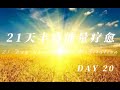 第20天 21天创造丰盛之旅 21 Day abundance meditation Day 20 (中文版本）（Chinese Version)