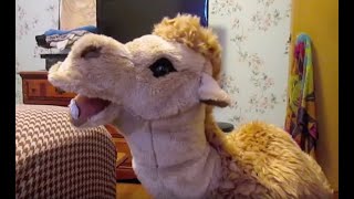 Happy Hump Day!