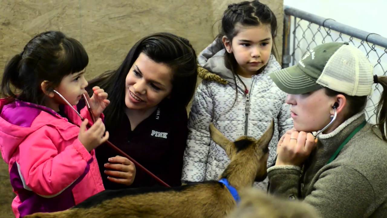 CSU Veterinary Teaching Hospital Open House 2016
