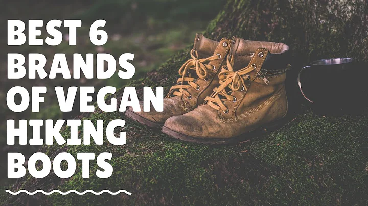 Best 6 Brands of Vegan Hiking Boots