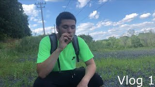 SMOKING OUT THE WOODS