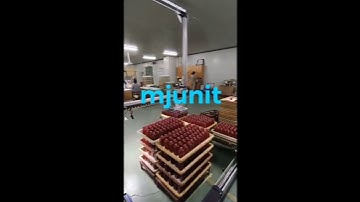 mjunit displacement reciprocating truss manipulator palletizing and handling slide gantry linear