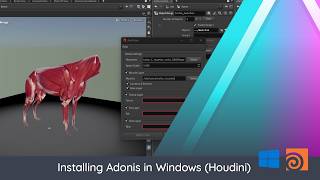Installing Adonis2.X in Houdini (Windows)