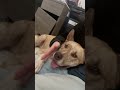 Ronaldo video