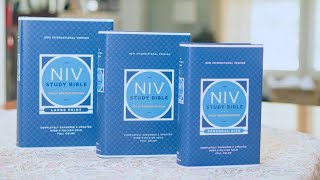 New And Improved Niv Study Bible  Your Ultimate Guide To Understanding Scripture!