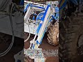 トラクターによる牛舎清掃の方法 #Tractor #BarnCleaning #DairyFarm #Agriculture #FarmLife