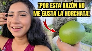 Download Lagu YA TENEMOS NUEVOS VECINOS EN LA COLONIA 4K/ MIREN DE DONDE VIENE LA HORCHATA SALVADOREรA MP3 Download Lagu YA TENEMOS NUEVOS VECINOS EN LA COLONIA 4K/ MIREN DE DONDE VIENE LA HORCHATA SALVADOREรA MP3